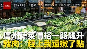 菜比肉贵？广州蔬菜价格一路飙升，十几元只能买一捆青菜🥬，然而猪肉价格也开始上涨了，老百姓怎么办