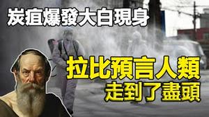 🔥🔥可怕❗炭疽病爆发大白现身❗拉比预言人类走到了尽 夺命大劫即将席捲全球❗与布兰登预言不谋而合❗