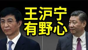 国会山震动，王沪宁旧书突然暴卖！他想当总书记？误导习近平，对美国一再误判