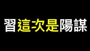 习这次是「阳谋」？中国股市将走向何方？