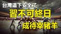 🔥🔥台湾这下安全了❗习不可终日 成待宰猪羊❗中国网民普大喜奔 终于等到这一天了❗