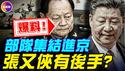北京出现大批黑衣人，军队集结进京！爆料：张又侠有后手，各军区军长正秘密筹谋？！#真飞 #真观点