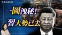 党报怒批习？太子党鼓动习近平攻台，伺机发动军事夺权？网路疯传联署签名倒习！｜薇羽看世间 20241217