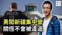 中国小伙冒死拍摄新疆集中营，走线美国或被遣返乌干达？最新消息：关恒不会被遣返，将获美国政治庇护！