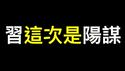 习这次是「阳谋」？中国股市将走向何方？