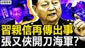 习亲信再传出事，张又侠开刀海军？大整肃抓杀不断，习近平目的在此！明明白白踩红线，赖清德斥中共无赖【新闻看点 李沐阳10.10】3